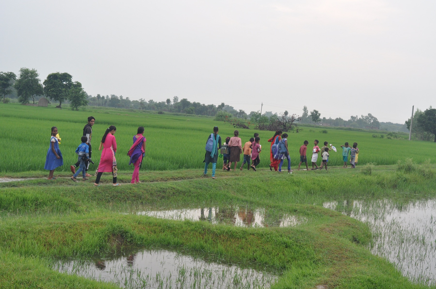 Children walking home through the fields of Masauli village at dusk